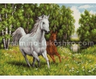фото: картина для вышивки бисером Пара лошадей