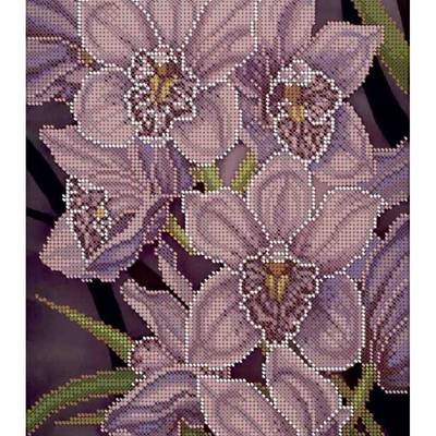фото: картина для вышивки бисером, Орхидеи