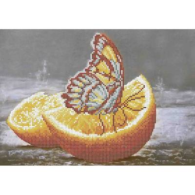 фото: картина для вышивки бисером, Завтрак заморской бабочки