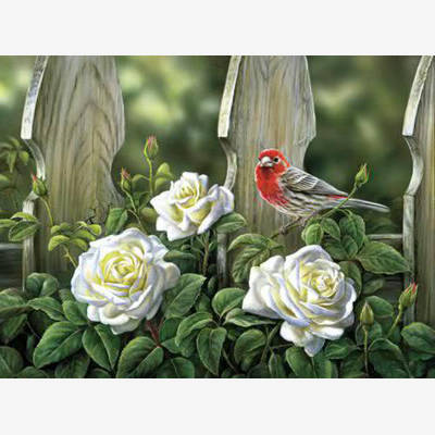 фото: картина в алмазной технике Птица на садовых розах