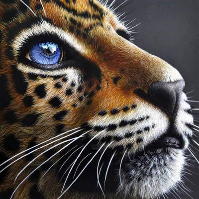 фото: картина в алмазной технике Взгляд леопарда
