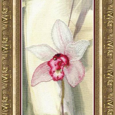 фото: картина, вышитая крестиком, Розовая орхидея