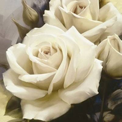фото: картина для вышивки в алмазной технике, Белые розы