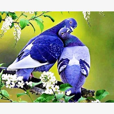 фото: картина в алмазной технике Любовь и голуби