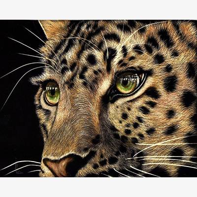 фото: картина в алмазной технике Взгляд леопарда