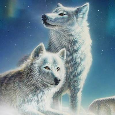 фото: картина в алмазной технике Красивая пара волков