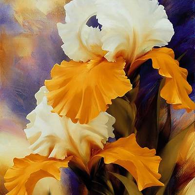 фото: картина для вышивки в алмазной технике, Прекрасные ирисы фото: картина для вышивки в алмазной технике, Прекрасные ирисы