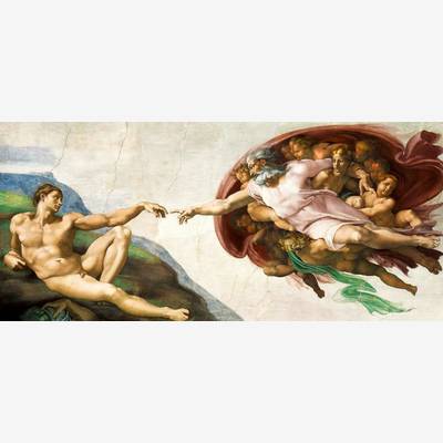 фото: картина в алмазной технике, Сотворение Адама Художник Michelangelo Buonarroti
