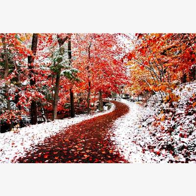 0фото: картина для вышивки в алмазной технике, С зимою осень повстречалась… 0фото: картина для вышивки в алмазной технике, С зимою осень повстречалась…