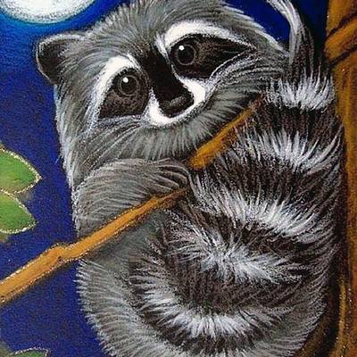 фото: картина для вышивки в алмазной технике, Енотик