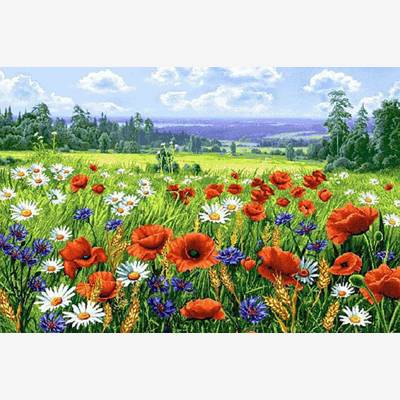 фото: картина в алмазной технике, Луговые цветы фото: картина в алмазной технике, Луговые цветы
