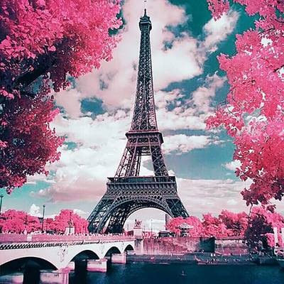 фото: картина для рисования по номерам Романтика весеннего Парижа