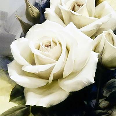 фото: картина для рисования по номерам Белые розы