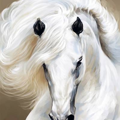 фото: картина для рисования по номерам Белая лошадь