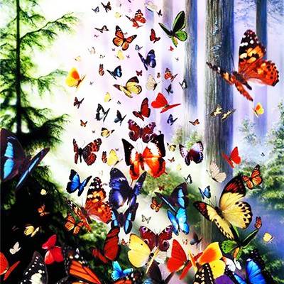 фото: картина для рисования по номерам Порхающие бабочки
