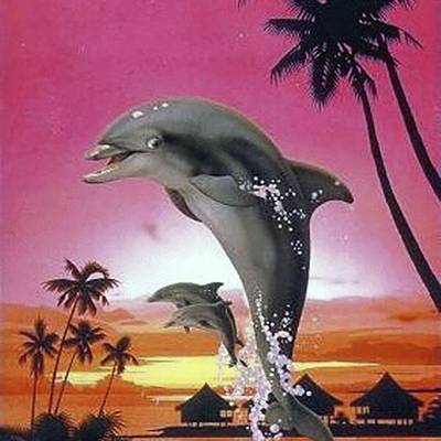 фото: картина для раскрашивания по номерам, Веселые дельфины