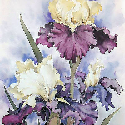 фото: картина для раскрашивания по номерам, Красота ирисов