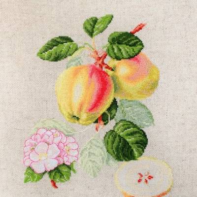 фото: картина для вышивки крестиком Яблоки