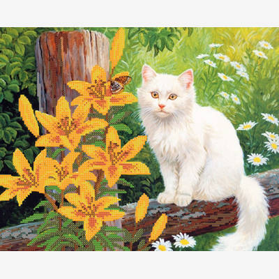 фото: картина для вышивки бисером, белый кот
