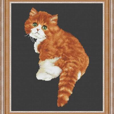 фото: картина, вышитая крестиком, Милашка кот