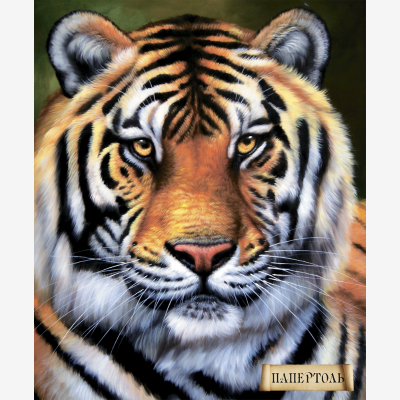 Набор папертоль Тигр