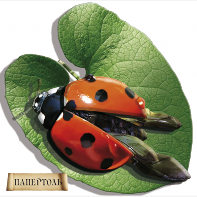 Набор папертоль Божья коровка
