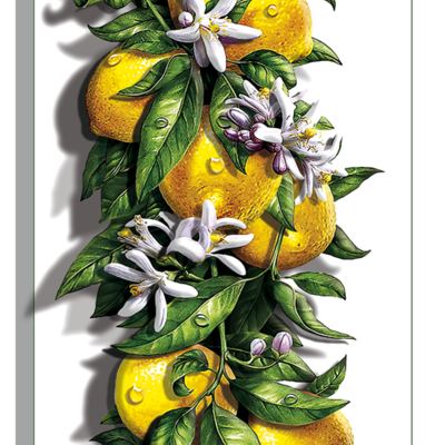 фото: картина в технике папертоль Сочные лимоны