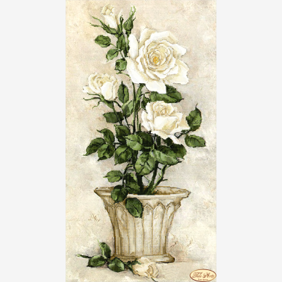 Схема для вышивки бисером Белые розы
