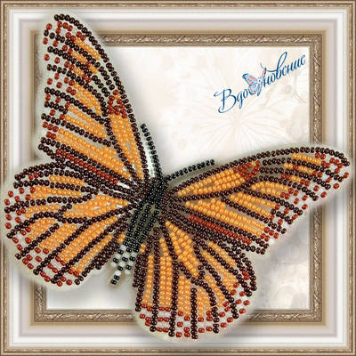 Набор для вышивания бисером на пластиковой канве Бабочка Данаида Монарх