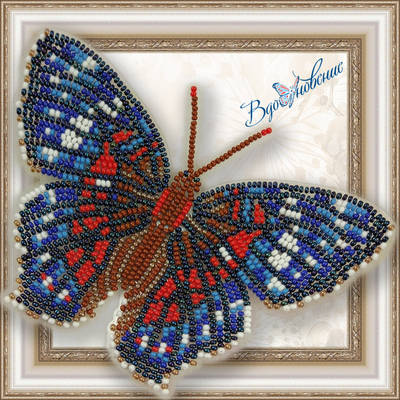 Набор для вышивания бисером на пластиковой канве Бабочка Красный павлин