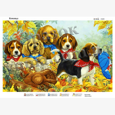 Схема для вышивки бисером Команда