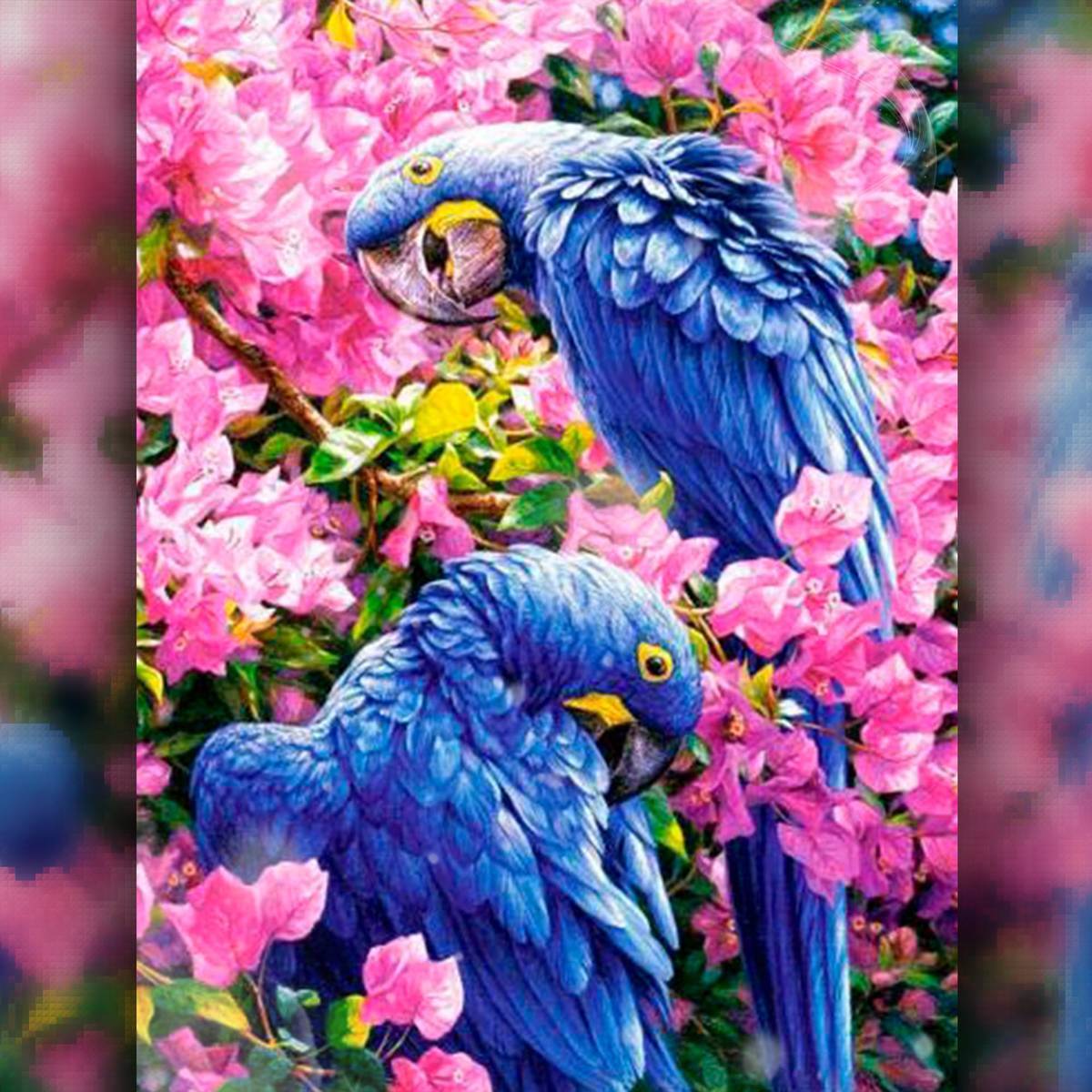 Алмазная мозаика попугайчики