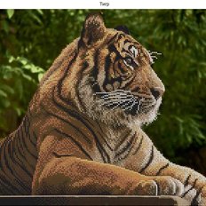 фото: картина, вышитая бисером, Тигр