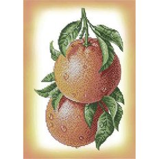 фото: картина, вышитая бисером, грейпфрут