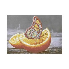 фото: картина для вышивки бисером, Завтрак заморской бабочки