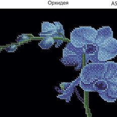 фото: картина, вышитая бисером, Орхидея фото: картина, вышитая бисером, Орхидея