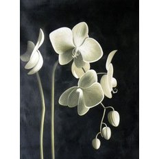Клон из Набор в технике алмазная вышивка Цвет орхидеи