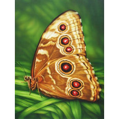 Набор в технике алмазная вышивка Бабочка Монарх