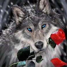 Набор в технике алмазная вышивка Волк с розой