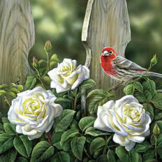 фото: картина в алмазной технике Птица на садовых розах
