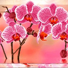 фото: схема для вышивки бисером или нитками, Орхидеи