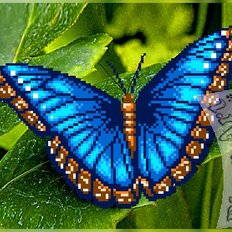 фото: схема для вышивки бисером, Голубая бабочка