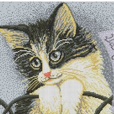 фото: схема для вышивки бисером, черно-белый кот фото: схема для вышивки бисером, черно-белый кот