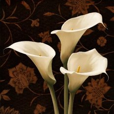 фото: картина для алмазной вышивки, Белые каллы фото: картина для алмазной вышивки, Белые каллы