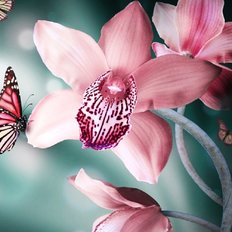 фото: картина для вышивки в алмазной технике, Прекрасная орхидея фото: картина для вышивки в алмазной технике, Прекрасная орхидея