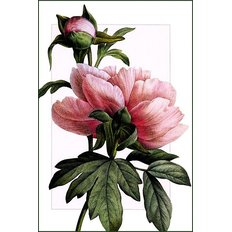 фото: картина для вышивки в алмазной технике, Розовый пион фото: картина для вышивки в алмазной технике, Розовый пион