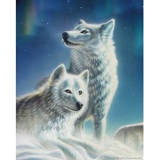 фото: картина в алмазной технике Красивая пара волков