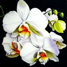фото: картина для вышивки в алмазной технике, Белая орхидея