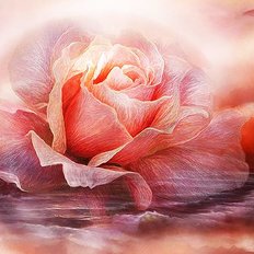 фото: картина для вышивки в алмазной технике, Лавандовая роза Художник Carol Cavalaris