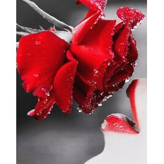 фото: картина для вышивки в алмазной технике, В ожидании любви